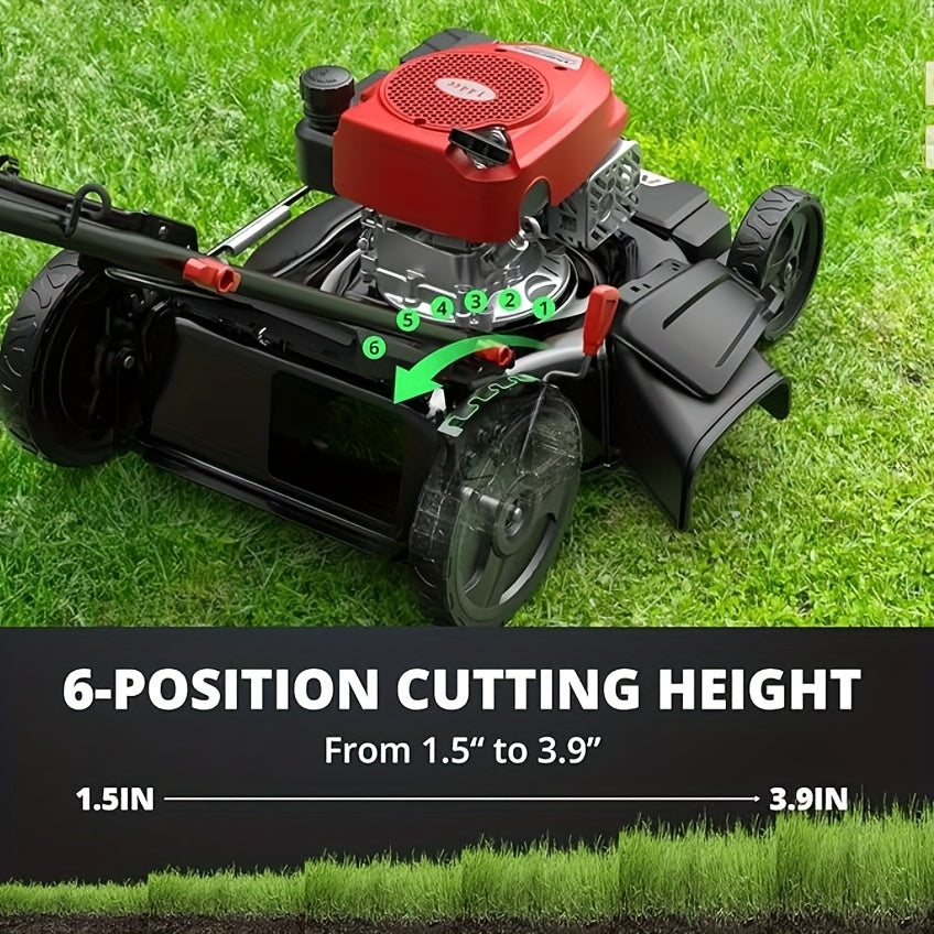 https://img.kwcdn.com/product/fancy/24e22f66-a47a-4c13-bbc2-7e30e4f99d71.jpg