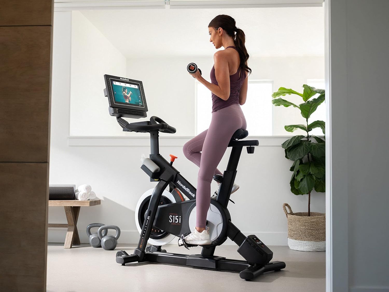 Commercial Studio Cycle