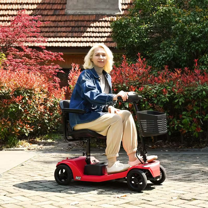 Mobility 4-wheel Electric Scooters With Removable Battery, 330 Lbs Max Weight & 32 KM Max Range