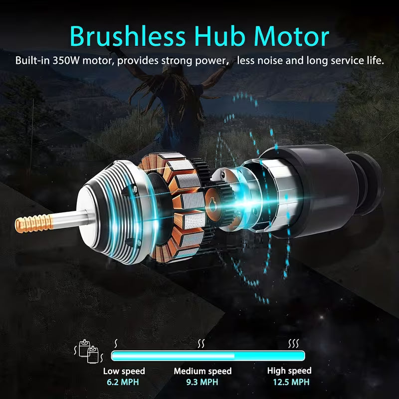 Windseeker 350W Electric Skateboard with EBS Brakes, Dual-Power & AC