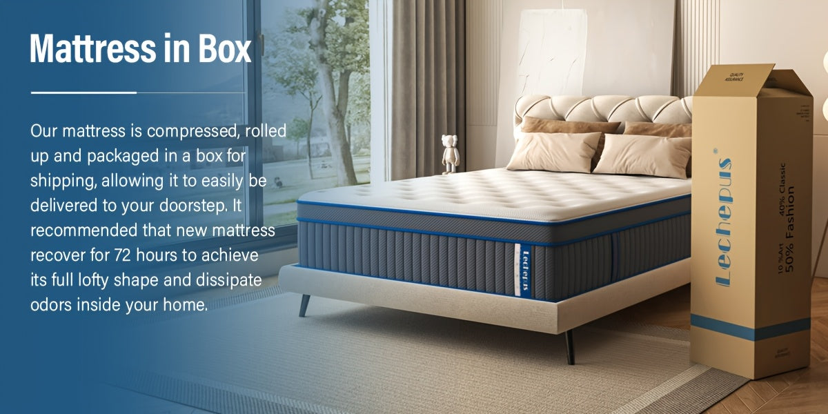 https://img.kwcdn.com/product/fancy/eb9c895c-b6c6-49b3-80b4-bd809a985ef2.jpg